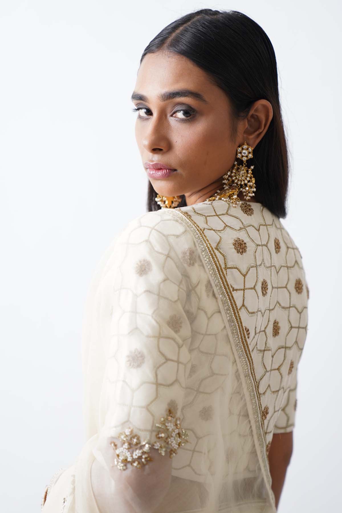 Banarasi Ari Zardosi Saree