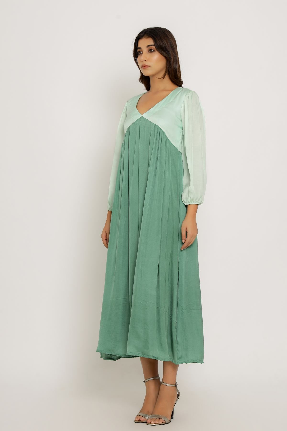 Bishop Sleeves Dress