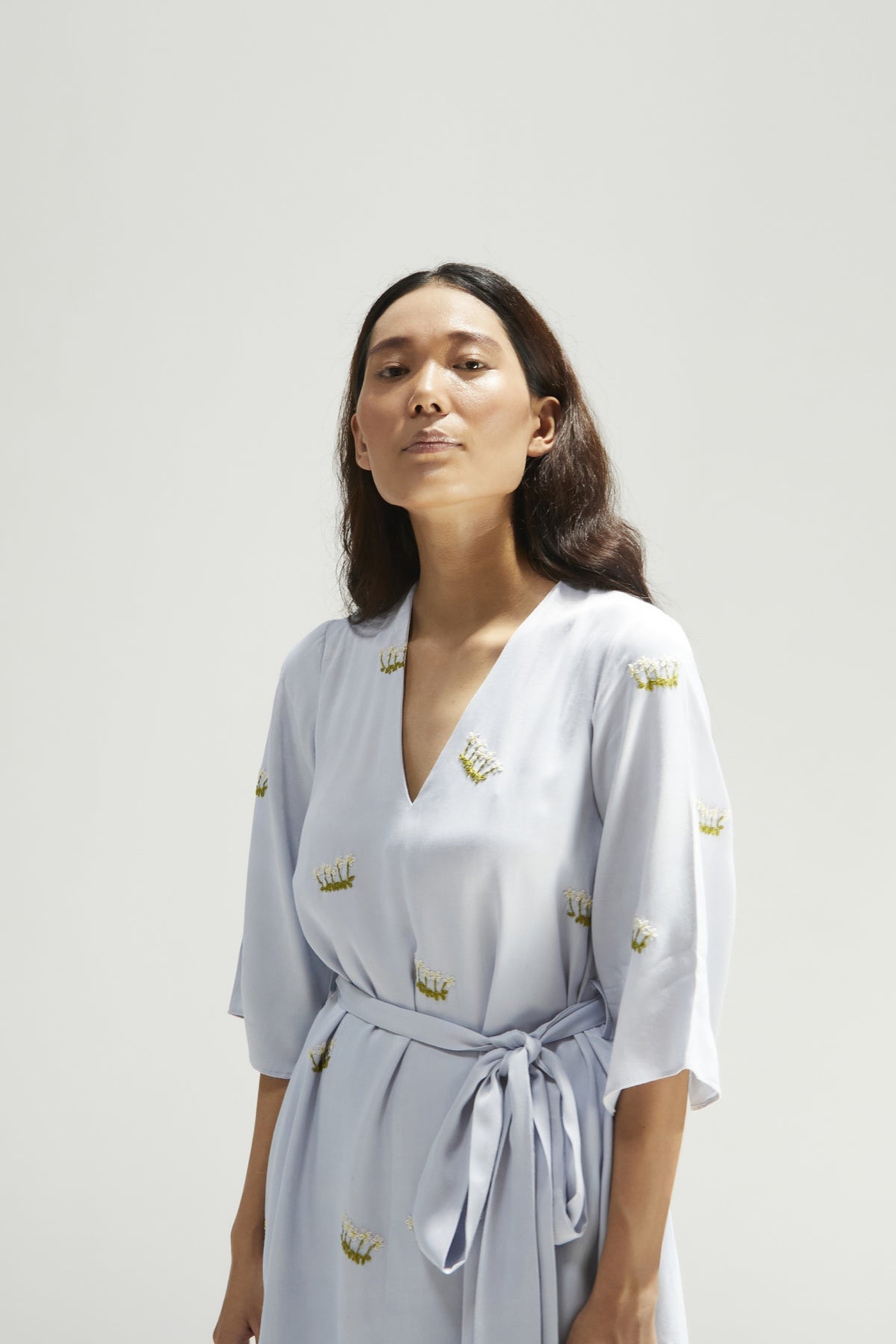 Mist Embroidered Dress