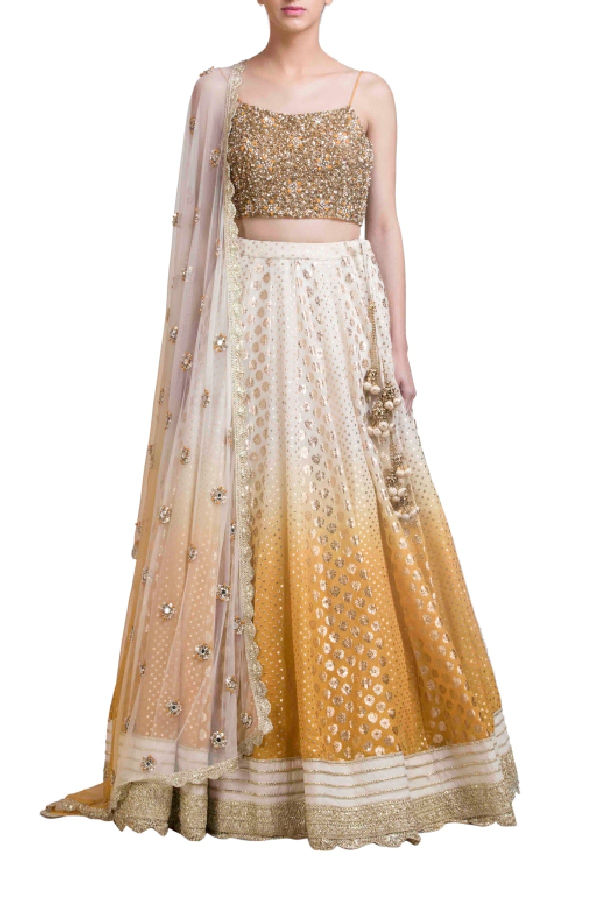 Ombre Sequins Work Lehenga Set
