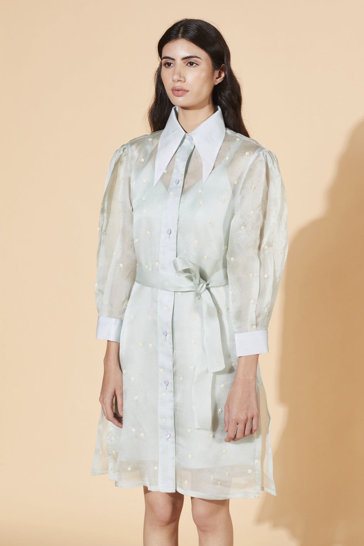 Mist Windflower Dress