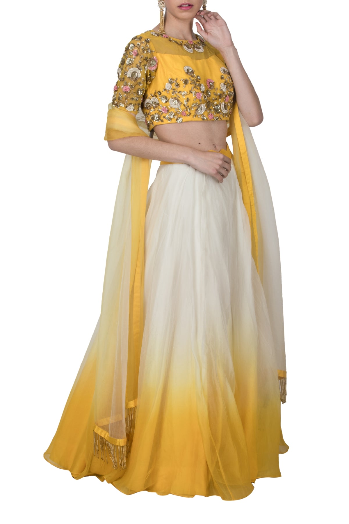 Ombre French Knot Lehenga Set