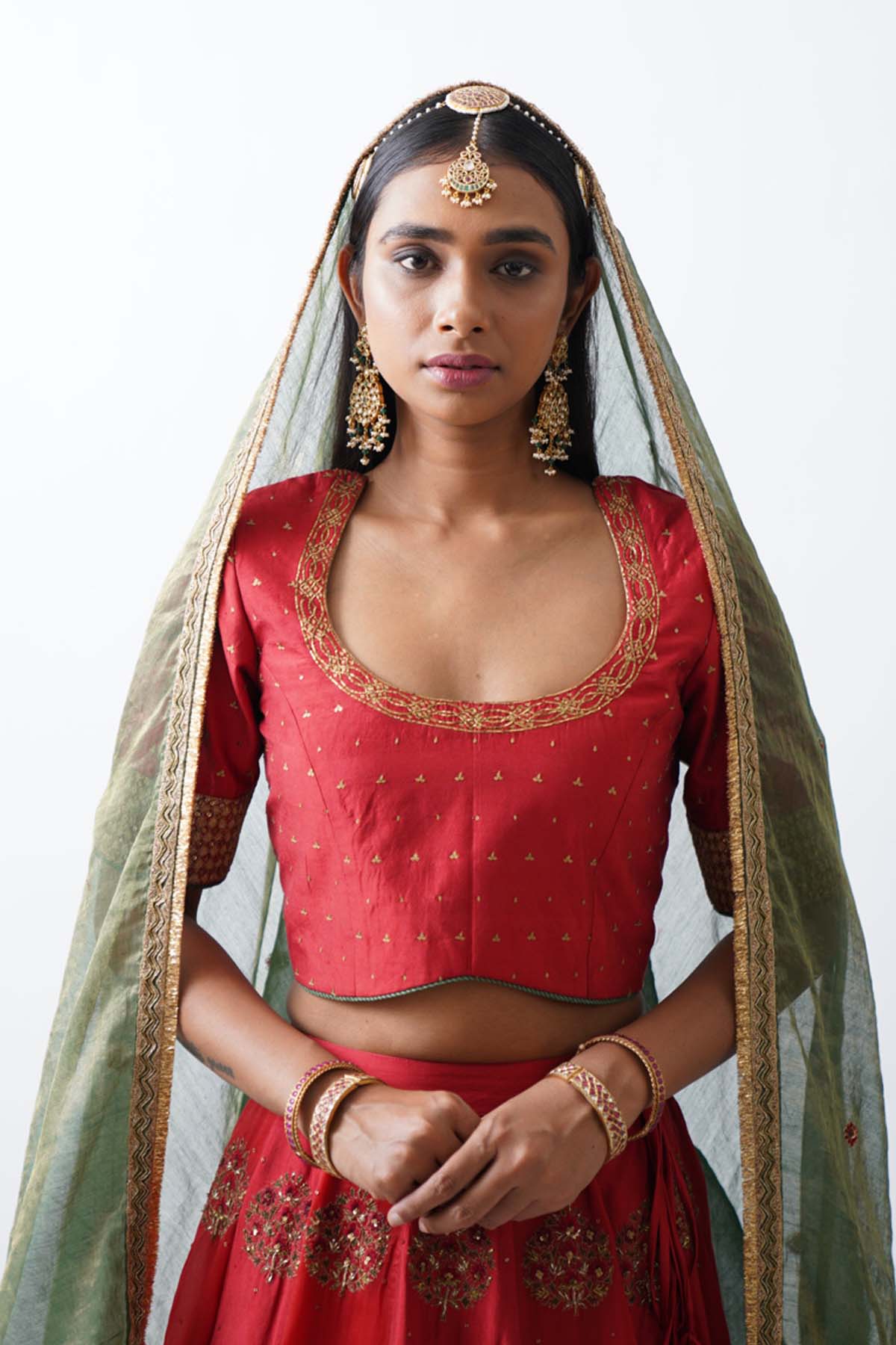 Paneled Ari Zardosi Lehenga Set